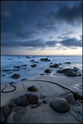 Bull Kelp Sunrise