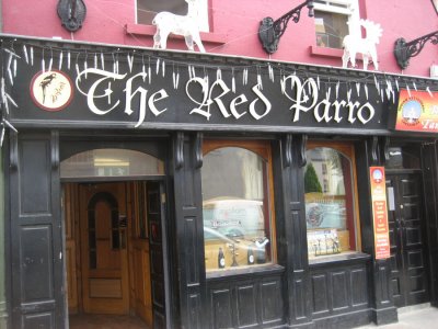 The Red parrot
