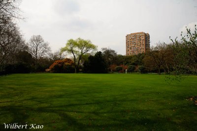 IMG_2241.jpg