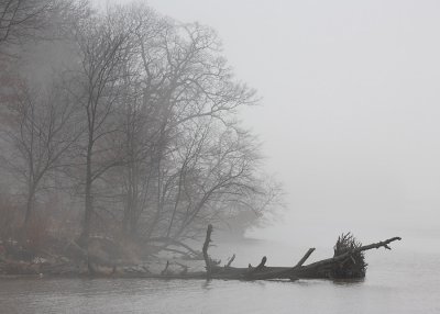 Illinois River Fog