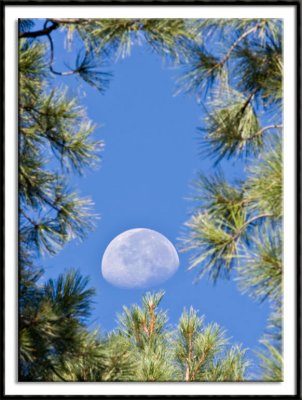 Moon Over Colorado