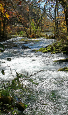 Spring stream.JPG