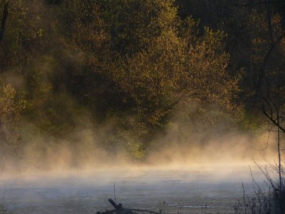 morning mist 3