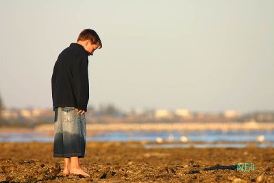 IMG_3573 800.jpg