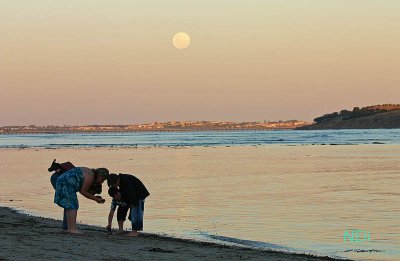 IMG_3581 800.jpg