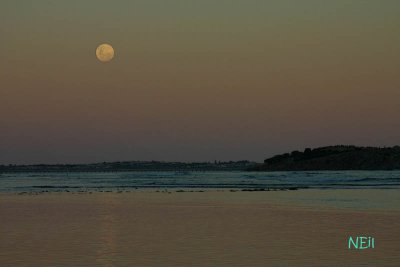 IMG_3586 800.jpg