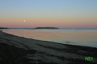 IMG_3587 800.jpg