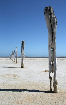 IMG_0340 800.jpg