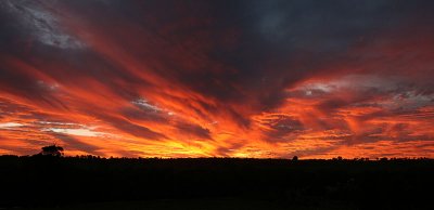 IMG_0515 800.jpg