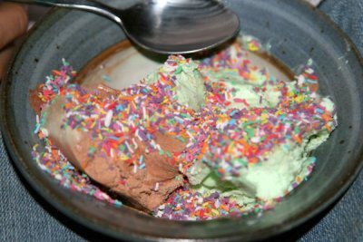 IMG_0528_resize.jpg