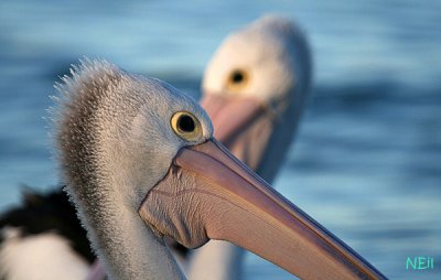 IMG_0548.jpg