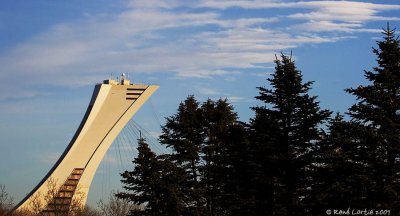 La mat du stade olympique vu du jardin botanique par une journe glaciale