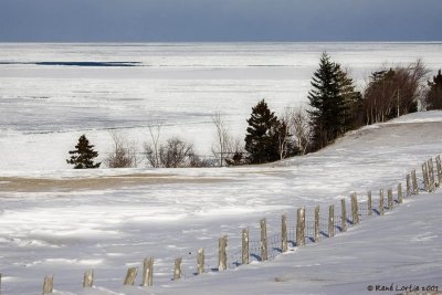 Paysage côtier