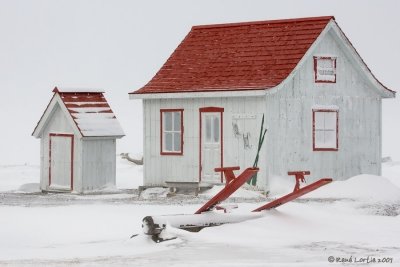 Au port de Ste-Anne-des-Monts