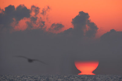 Armageddon