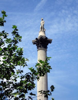 Nelson's column