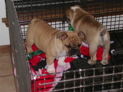 DSCN2638.JPG