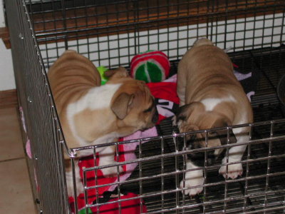 DSCN2639.JPG