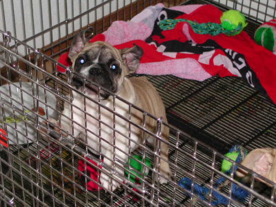 DSCN2641.JPG
