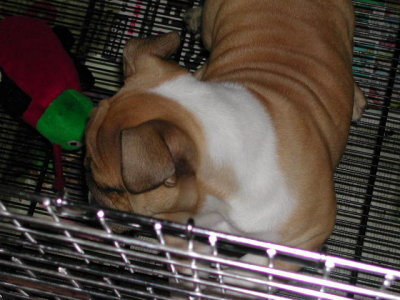 DSCN2644.JPG