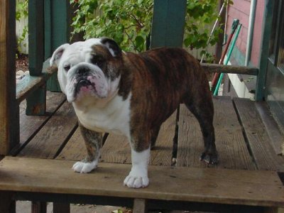 ch_cherokee_legend_pretty_boy.bak