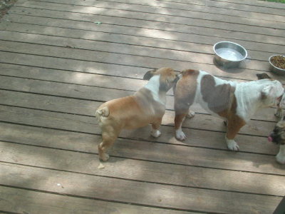 DSCN2793.JPG