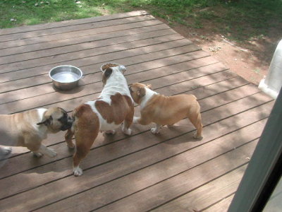 DSCN2795.JPG