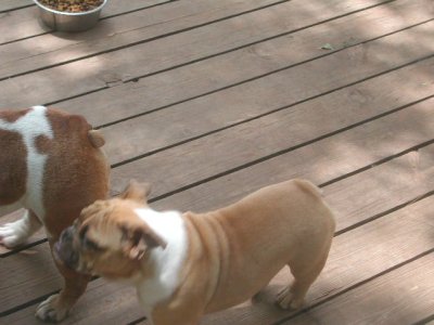DSCN2798.JPG