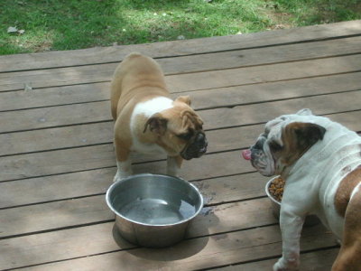 DSCN2803.JPG