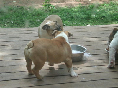 DSCN2804.JPG