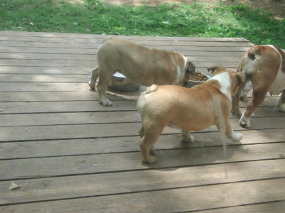 DSCN2807.JPG