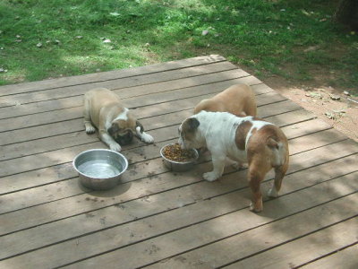 DSCN2809.JPG