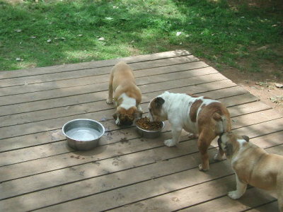 DSCN2810.JPG