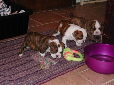 Houston as a baby 1.jpg
