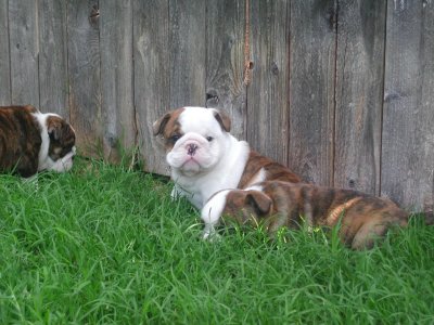 Houston as a baby 2.jpg