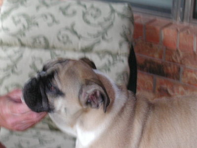 DSCN2760.JPG