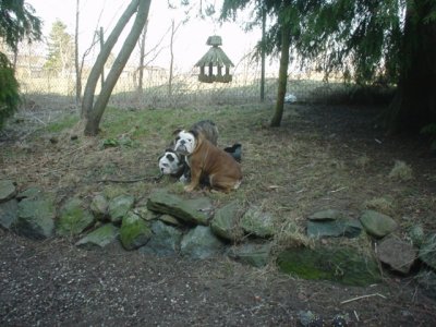 Becky and Tampa.jpg