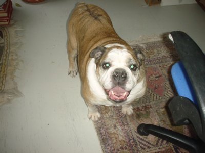 Chauser 1.jpg