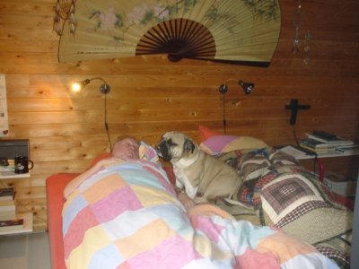 Dad is home I better keep watch 1.jpg