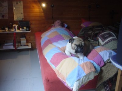 Dad is home so I better keep watch 2.jpg