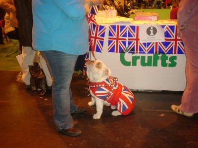 English patriot 1.jpg