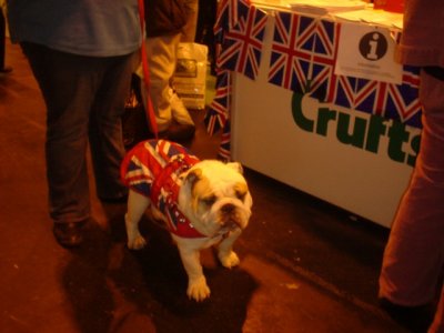 English patriot 2.jpg