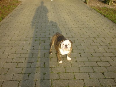 In the garden the 16 of January.jpg
