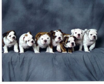scan0003.jpg