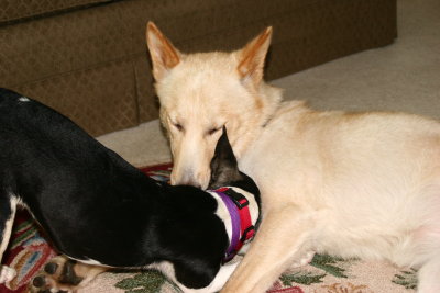 Kira and Comet