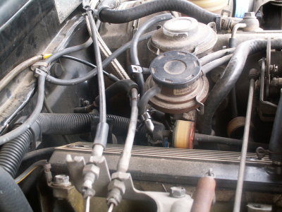 PICT1558.JPG