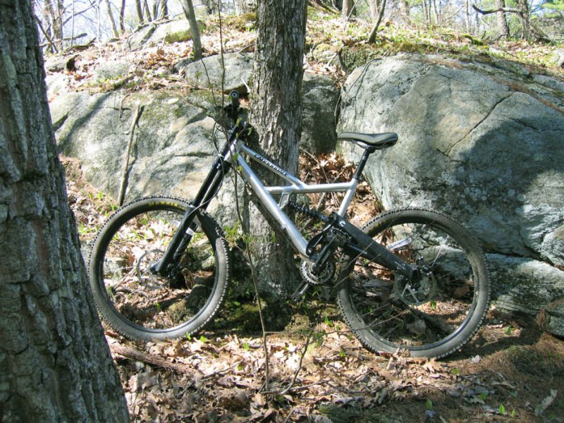 IMG_9342ps 700h.jpg