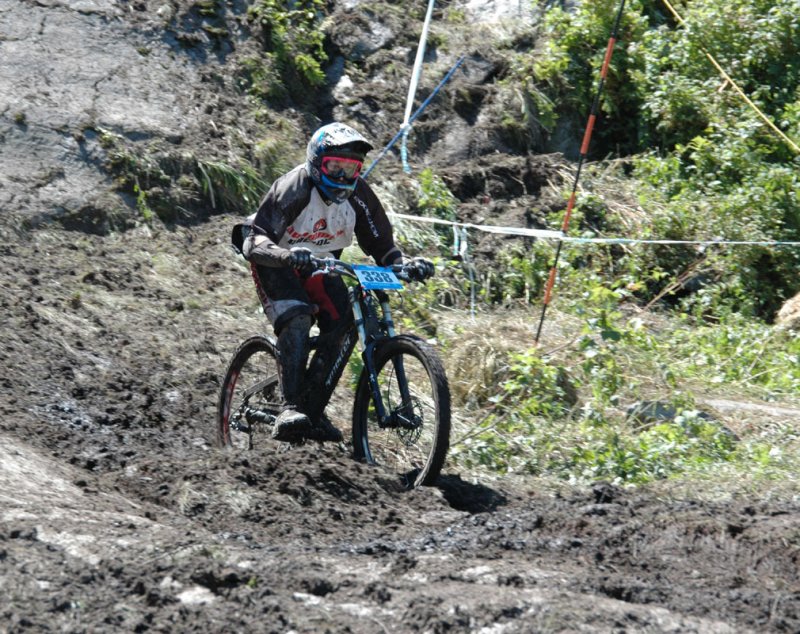 DSC_13816ps 800h.jpg