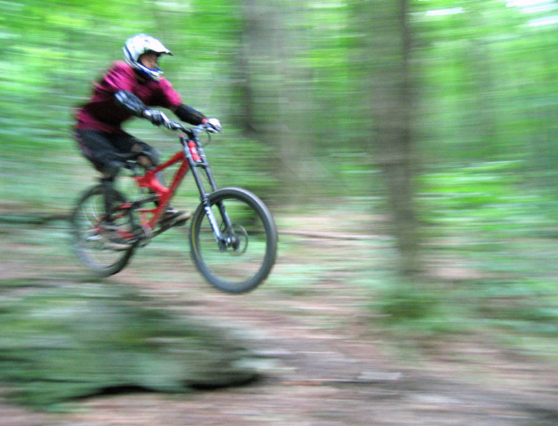 IMG_9863ps 700h.jpg