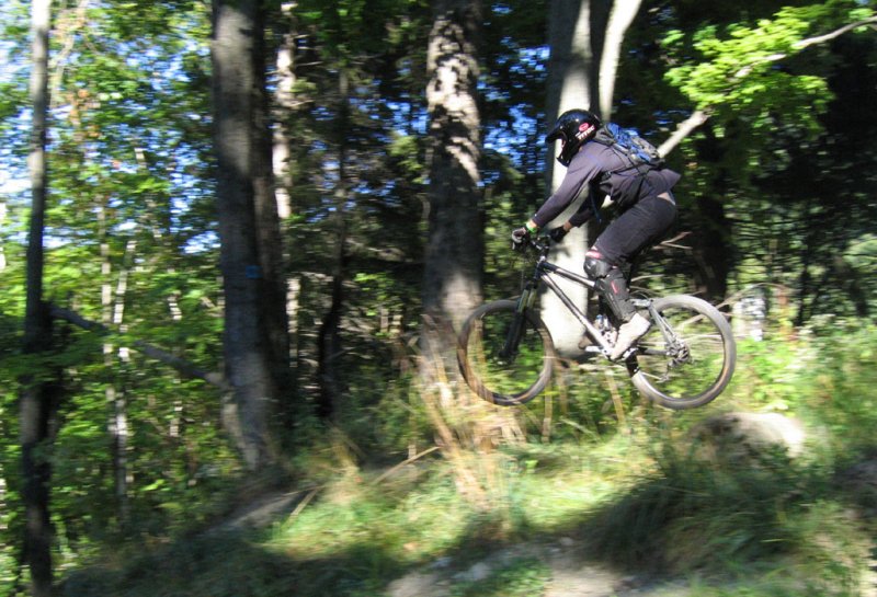 IMG_10025ps 700h.jpg